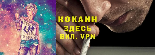 трава Арсеньев