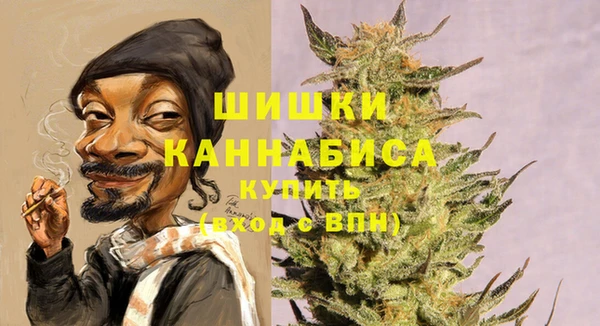 трава Арсеньев