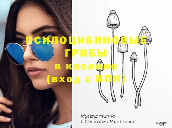 мяу мяу мука Аркадак