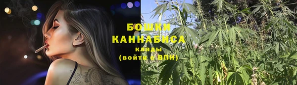 трава Арсеньев