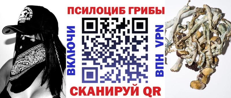 KRAKEN ТОР  Узловая  Галлюциногенные грибы MAGIC MUSHROOMS  где купить наркотик 